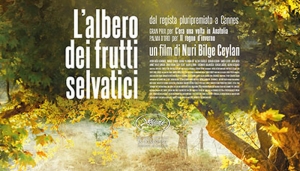 Albero_frutti_selvatici